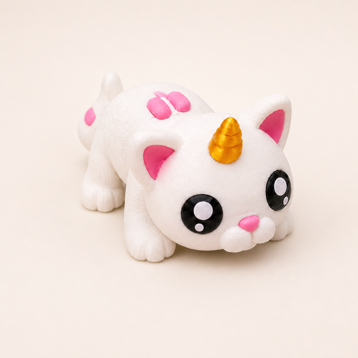 Mochi the Magic Cat