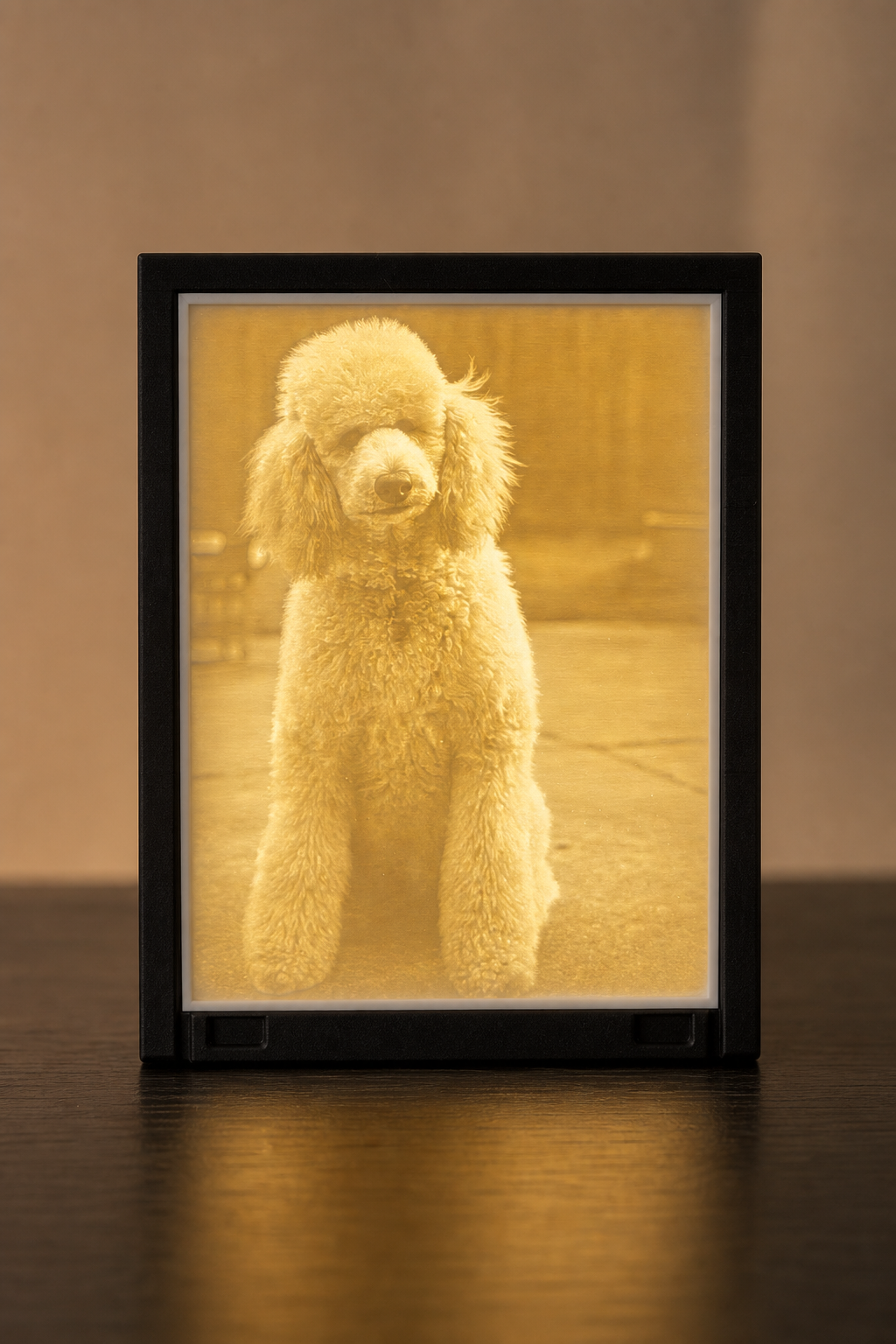 LolliLabz Glow Frame showing a clear portrait photo of a poodle